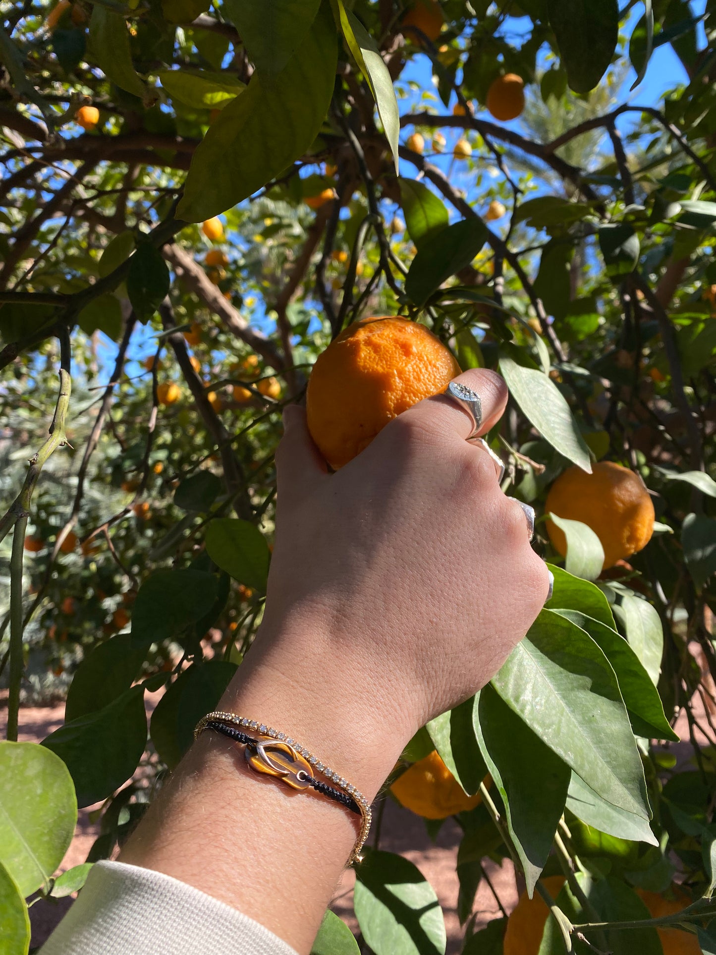 Pulsera Shankla Lucky Brown